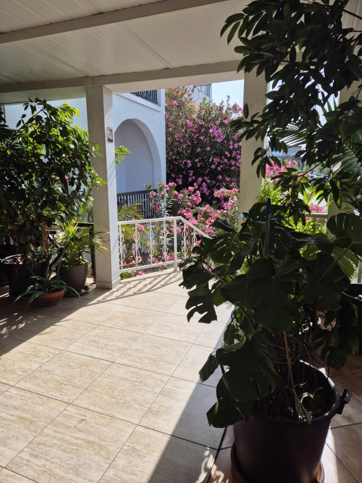 Myriama Apartments Aya Napa Dış mekan fotoğraf