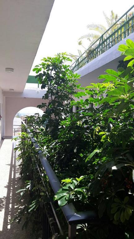 Myriama Apartments Aya Napa Dış mekan fotoğraf