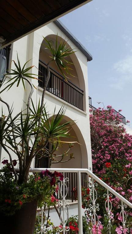Myriama Apartments Aya Napa Dış mekan fotoğraf