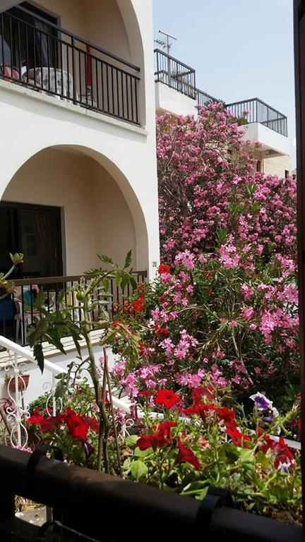 Myriama Apartments Aya Napa Dış mekan fotoğraf
