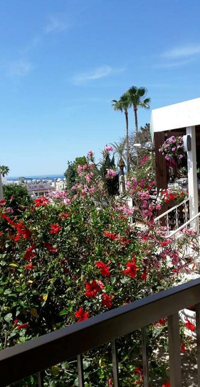 Myriama Apartments Aya Napa Dış mekan fotoğraf