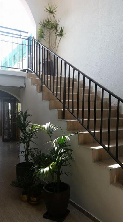 Myriama Apartments Aya Napa Dış mekan fotoğraf